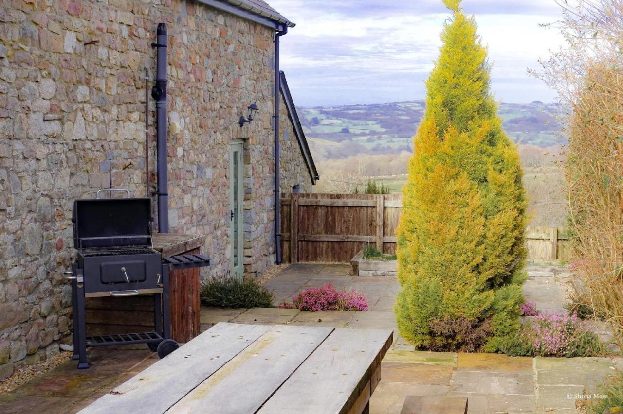 Rhiwddu Barns Villa Llangadog Ngoại thất bức ảnh
